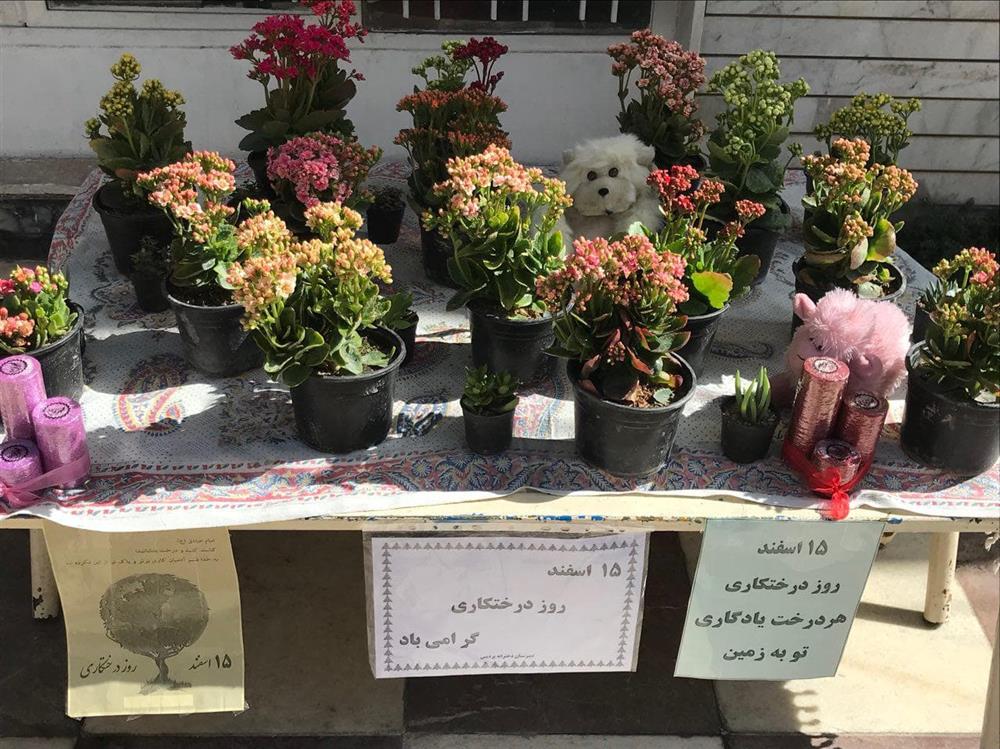 روز درختکاری, 15 اسفند روز درختکاری, هفته منابع طبیعی روز درختکاری, 15 اسفند روز درختکاری, هفته منابع طبیعی