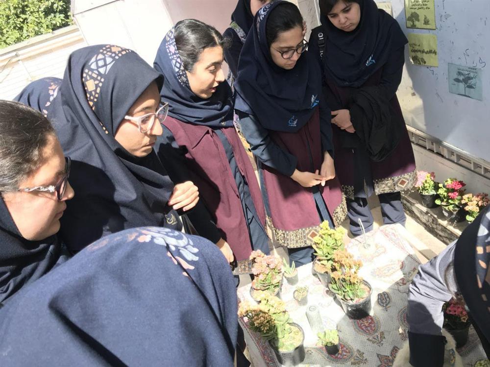 روز درختکاری, 15 اسفند روز درختکاری, هفته منابع طبیعی روز درختکاری, 15 اسفند روز درختکاری, هفته منابع طبیعی